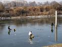 2011-02-27, Eisfischer (2)